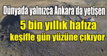 Dünyada yalnızca Ankara’da yetişen