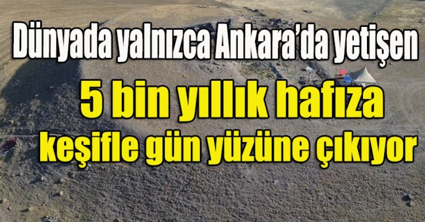 Dünyada yalnızca Ankara’da yetişen