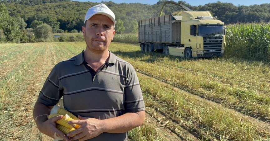 Kocaeli tarımında çift hasat dönemi