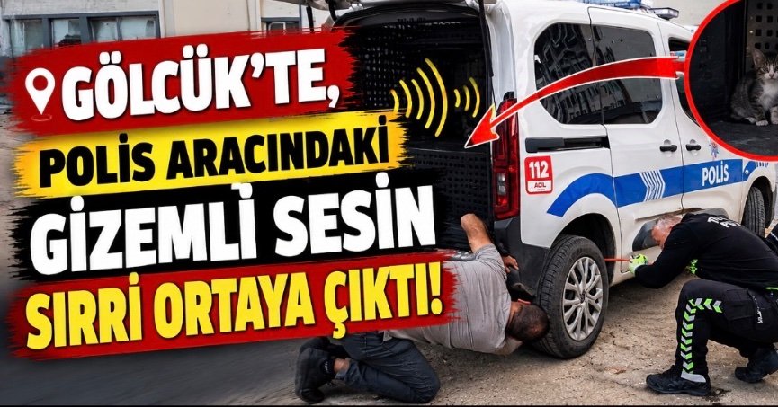 GÖLCÜK'TE, POLİS ARACINDAKİ GİZEMLİ SESİN SIRRI ORTAYA ÇIKTI!