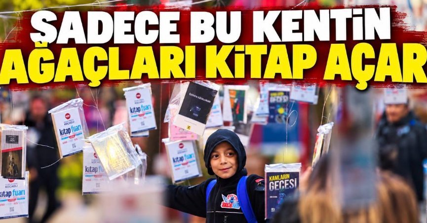 AĞAÇ DALLARINA 5 BİN ADET KİTAP ASILACAK
