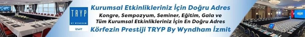 Logo yanı