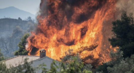 Kocaeli’deki yangını PKK üstlendi