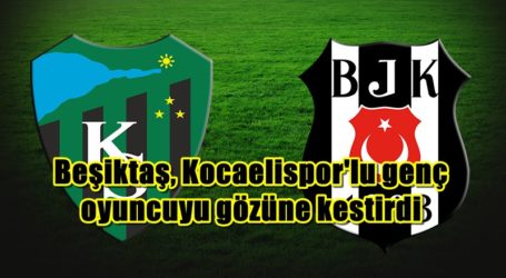 Beşiktaş, Kocaelispor’lu genç oyuncuyu gözüne kestirdi