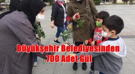 Büyükşehir Belediyesinden 700 Adet Gül