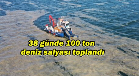 38 günde 100 ton deniz salyası toplandı