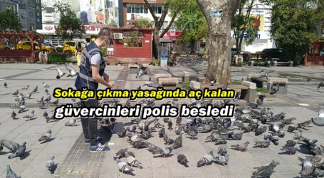 Sokağa çıkma yasağında aç kalan güvercinleri polis besledi