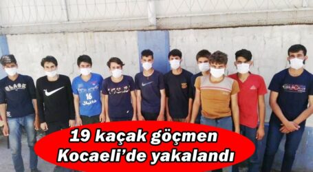 19 kaçak göçmen Kocaeli’de yakalandı