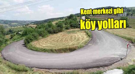 Kent merkezi gibi köy yolları