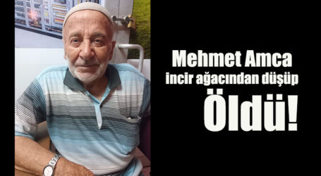 Mehmet Amca incir ağacından düşüp öldü!