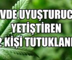 EVDE UYUŞTURUCU YETİŞTİREN  2 KİŞİ TUTUKLANDI