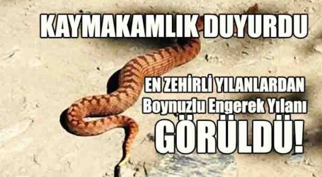 KAYMAKAMLIK DUYURDU!..