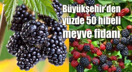 Büyükşehir’den yüzde 50 hibeli meyve fidanı
