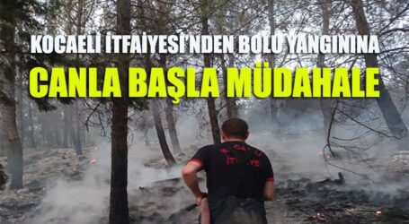 KOCAELİ İTFAİYESİ’NDEN BOLU YANGININA CANLA BAŞLA MÜDAHALE