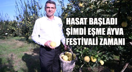 HASAT BAŞLADI, ŞİMDİ EŞME AYVA FESTİVALİ ZAMANI