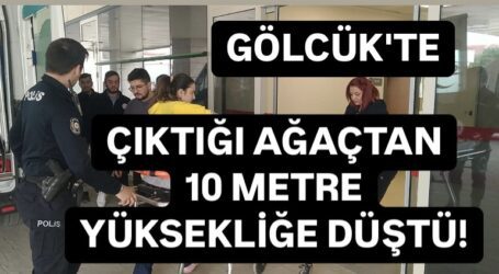 Evinin önündeki çıktığı ağaçtan 10 metre yüksekliğe düştü!