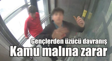 Gençlerden üzücü davranış; kamu malına zarar