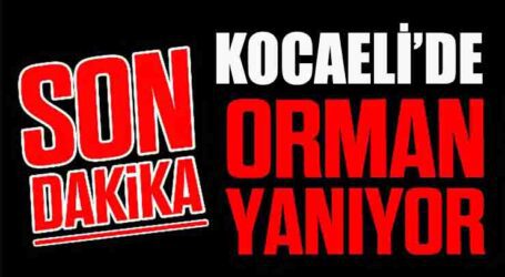 KOCAELİ’DE ORMAN YANGINI!..