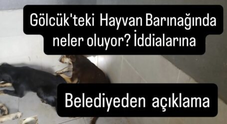 Gölcük’teki Hayvan Barınağında neler oluyor  iddialarına belediyeden açıklama