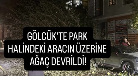 GÖLCÜK’TE,  PARK HALİNDEKİ ARACIN ÜZERİNE AĞAÇ DEVRİLDİ