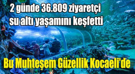 Kocaeli’nin yeni cazibe merkezi Körfez Aqua’ya ilgi çok yüksek;  2 günde 36.809 ziyaretçi su altı yaşamını keşfetti